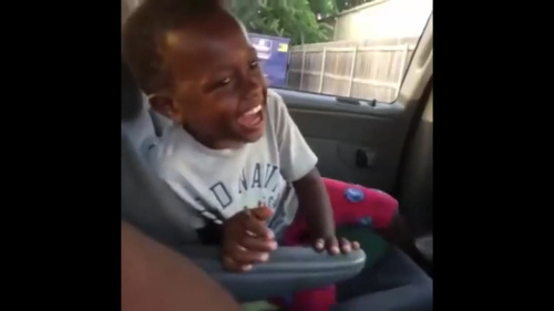 Black Kid Laughing In Car Vine Meme Download